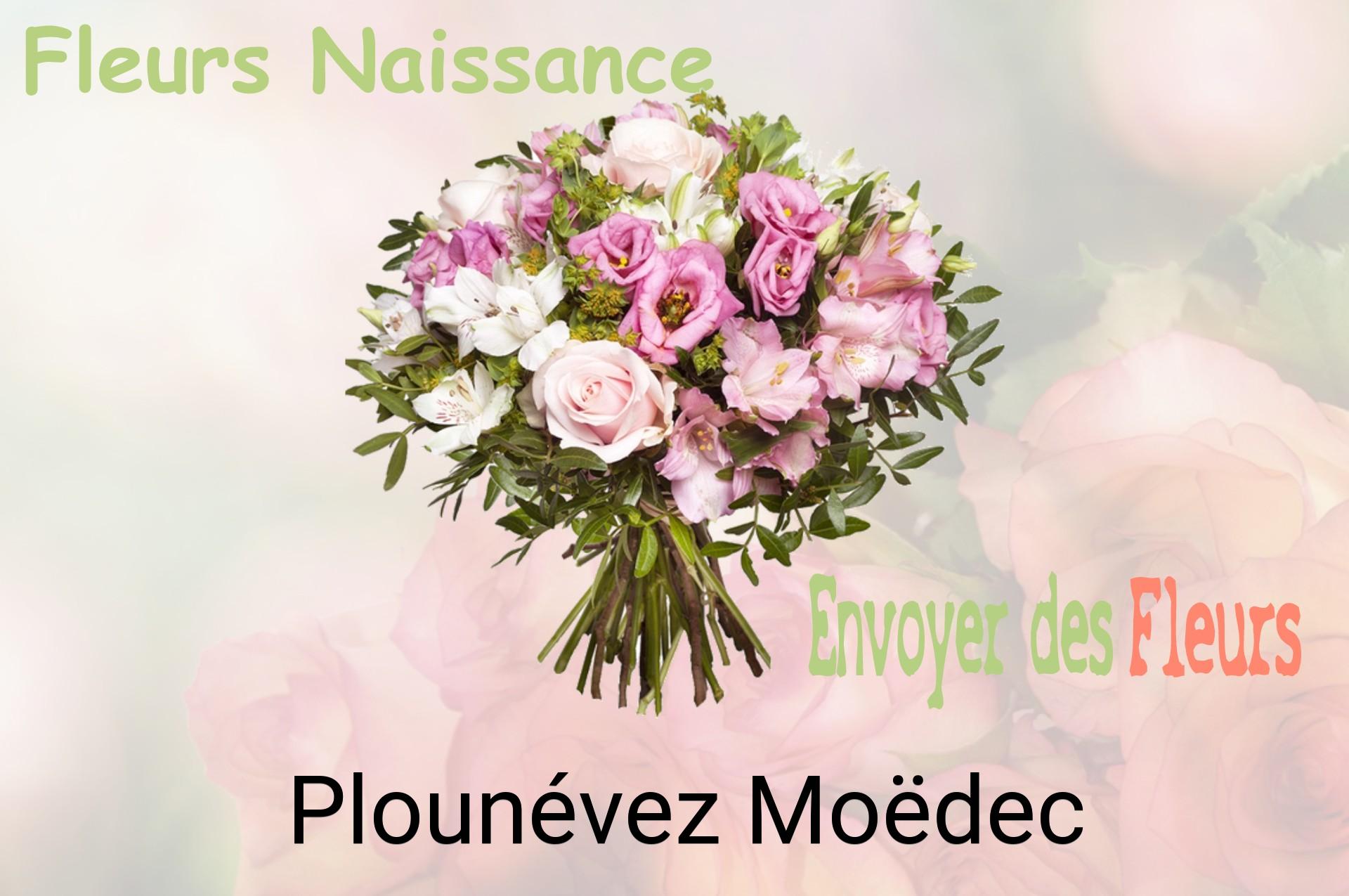 Bouquet de fleurs de naissance livré à Plounévez-Moëdec